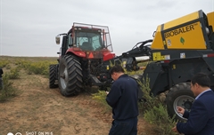 2019年，內蒙奈吉牧草有限公司，采購一臺Anderson檸條平茬機